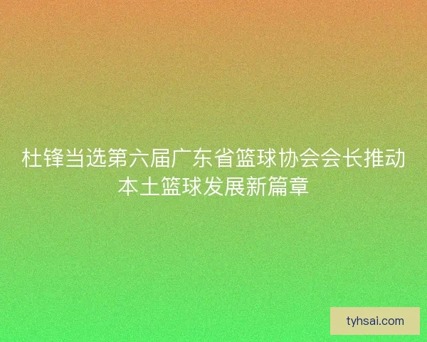 杜锋当选第六届广东省篮球协会会长推动本土篮球发展新篇章